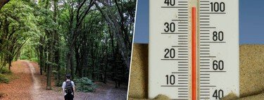 Don't make important decisions during the heat: high temperatures (and hot nights) sabotage your brain function.