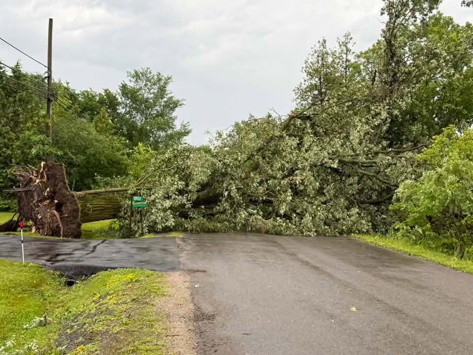 A fallen tree has blocked access to Peters Road in South Frontenac, Ontario. on Monday afternoon.
