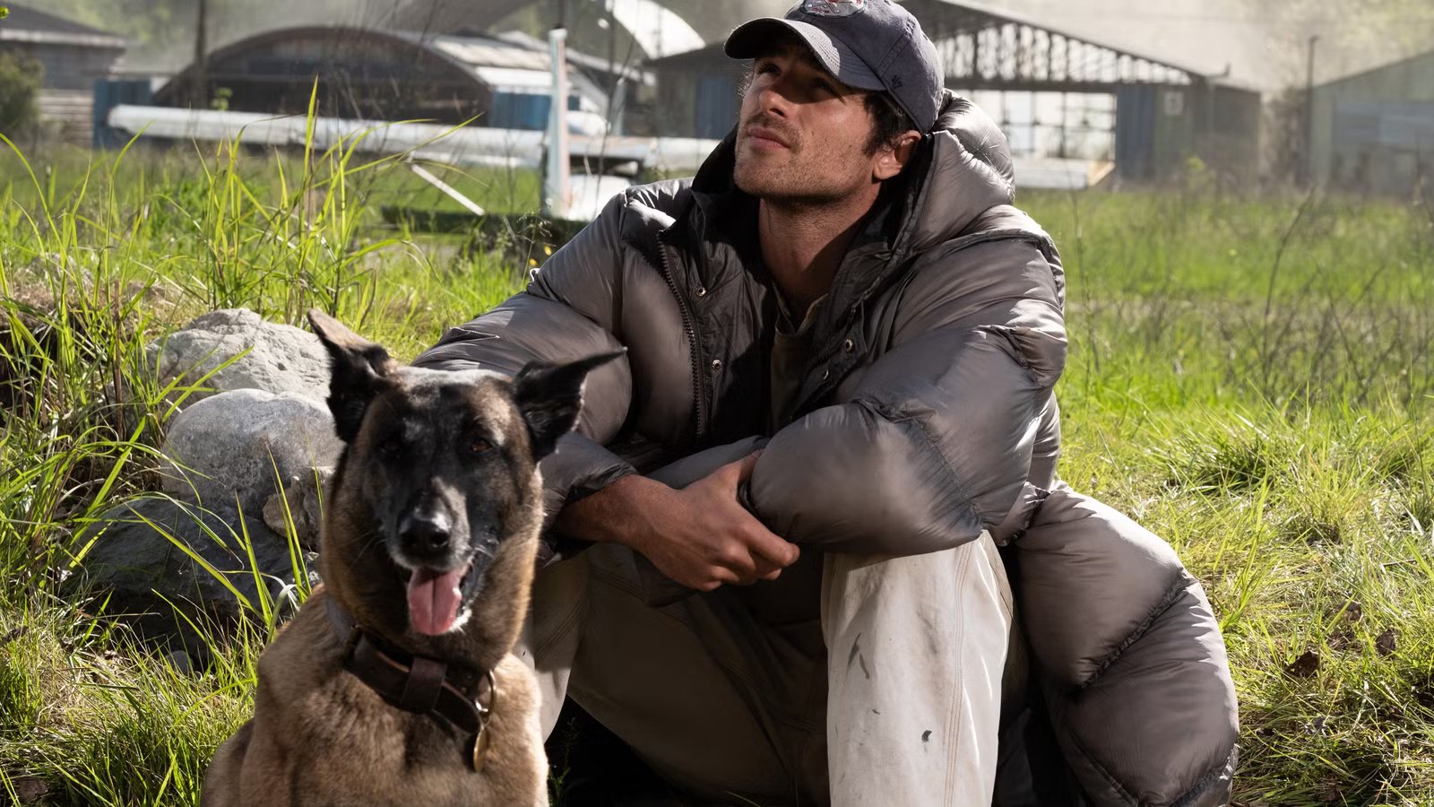 Ridley Scott's new post-apocalyptic thriller The Last of Us Meets the Stand turns violent in the latest Dog Stars trailer 12 Jacob Elordi's Hig sits next to his dog and looks up at the sky in Dog Stars.