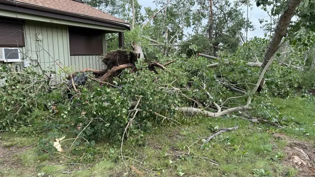 Broken trees are visible near the building after the storm has passed.
