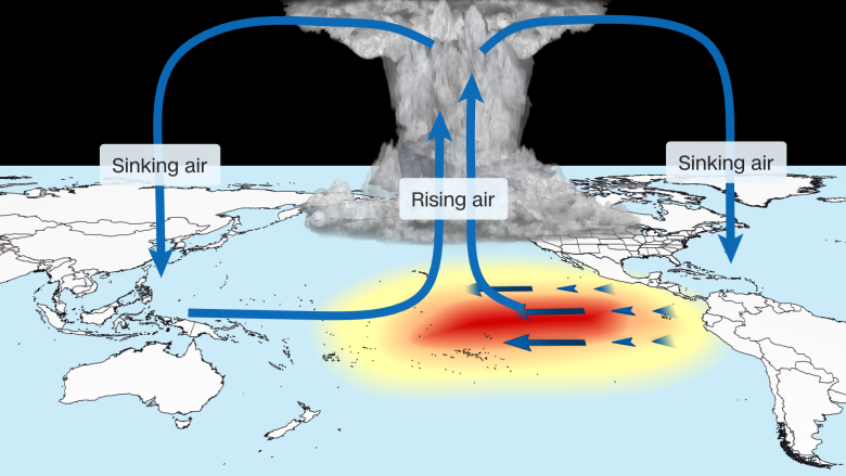 Signs of El Niño are already appearing in the Atlantic Ocean. Tropical Storm Bertha - More Evidence 12 When El Niño influences Walker's circulation, air flows in defined looping patterns (blue arrows).
