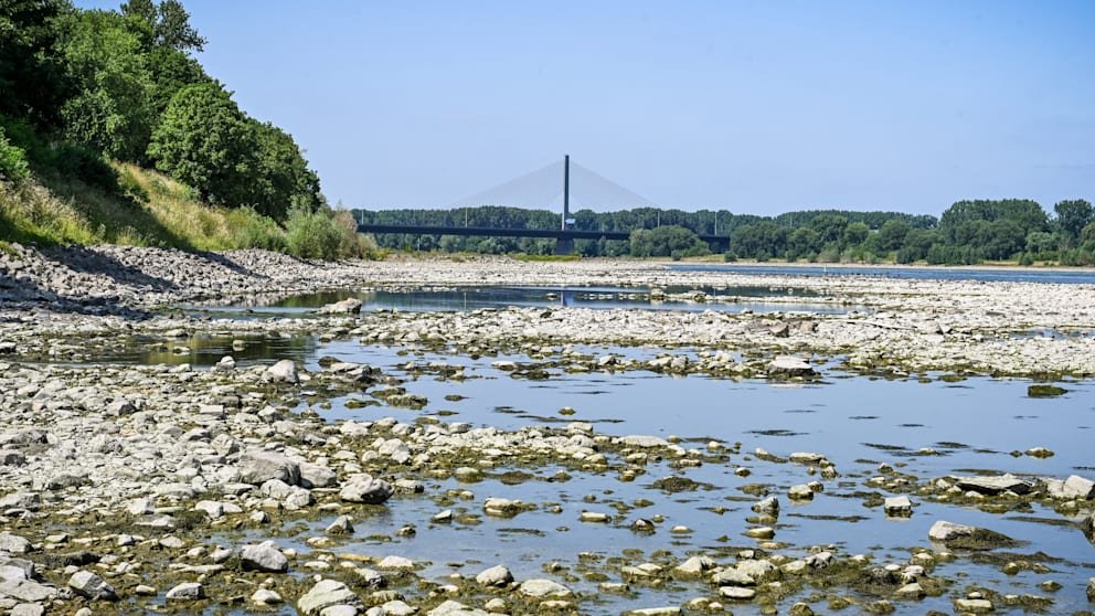The level continues to fall: the Rhine is drying up | Regional 12 This was exactly the situation on July 9 in Bonn against the backdrop of the closed Northbridge. Since then the level has continued to fall steadily.