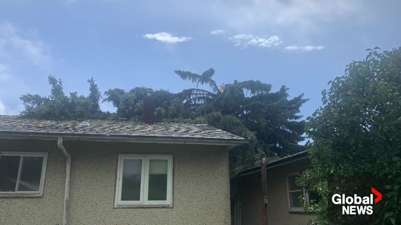 Click to watch video: Cleanup efforts underway in Edmonton after major weekend storms