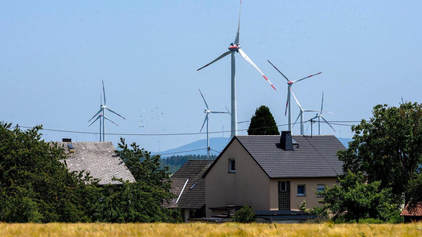 Several wind turbines rise above the rooftops of houses in the countryside. In the foreground is a field of ripe grain, behind it are trees and hedges, in the background are wooded hills under a blue sky. Several wind turbines rise above the rooftops of houses in the countryside. In the foreground is a field of ripe grain, behind it are trees and hedges, in the background are wooded hills under a blue sky.