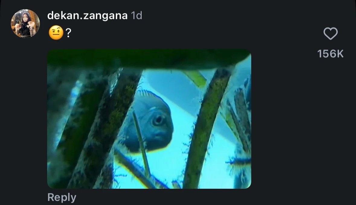 A comment on a social network with a thoughtful face emoji and a photo of a fish peeking through aquatic plants in an aquarium. The comment received 156 thousand likes.