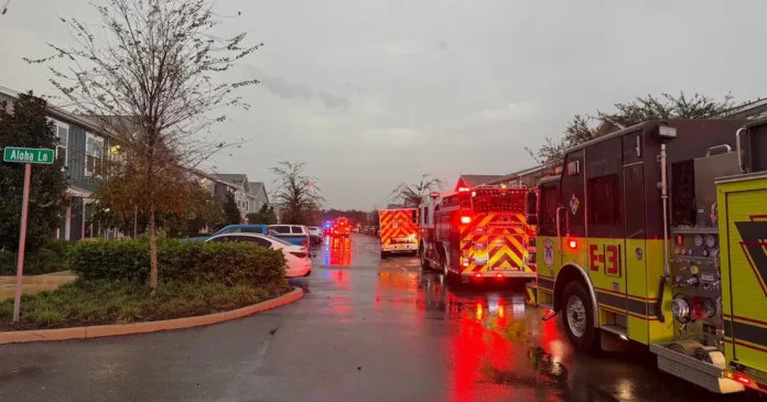 Lightning strike sparks apartment fire in Brooksville, dozens displaced overnight: HCFR