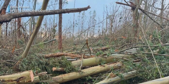 Cut off by Hurricane Lowell, Kauai man worries about water for 60 cattle